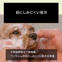 THE ANIMALS ORGANICS 犬 シャンプー 無添加 オーガニックの画像