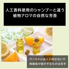 THE ANIMALS ORGANICS 犬 シャンプー 無添加 オーガニックの画像