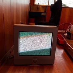 テレビ