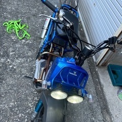 ズーマーカスタム