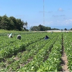 農作業、草取りなど