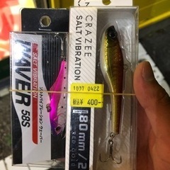 シーバスか青物を釣りたい - スポーツ