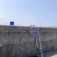 シーバスか青物を釣りたい - 米子市