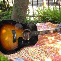 美品　【常田  大希の愛機モーリスG】レアなエレアコ仕様　惜しく...