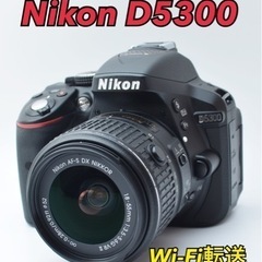 S数約1000回●美品●Wi-Fi転送●バリアングル液晶●ニコン D5300 1カ月動作保証あり！ 安心のゆうパック代引き発送！ 送料、代引き手数料無料！