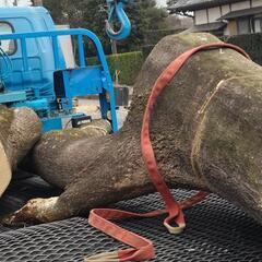 切り株抜きます。その他パワーショベル作業も。 - つくば市