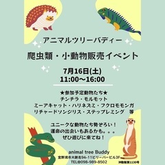 【沖縄】小動物🐹＆爬虫類🐍＆用品即売会🌟