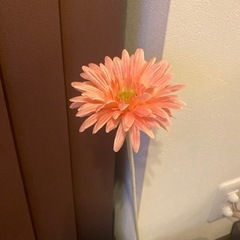 フランフラン　造花4種類