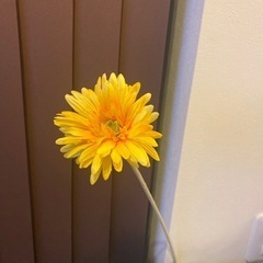 フランフラン　造花4種類の画像