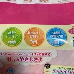 格安です。マナーウェア23枚入りになります。の画像