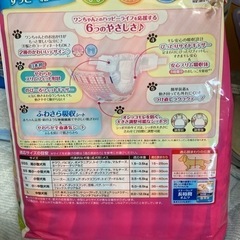 格安です。マナーウェア23枚入りになります。の画像