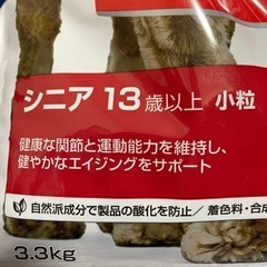 お買い得！高齢犬に是非の画像