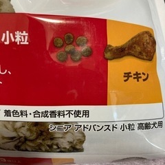 お買い得！高齢犬に是非の画像