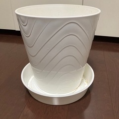 植木鉢白　プラスチック