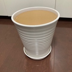 植木鉢白　陶器