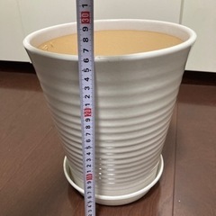 植木鉢白　陶器の画像