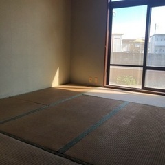 【無料】古い畳　5畳×12  除草 雑草対策に　沢山あります