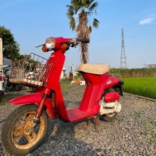 実働‼︎SKY HONDA スカイ　ホンダ　昭和レトロ