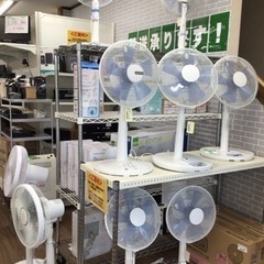扇風機大量入荷