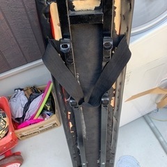 すぐ取りに来られる方　謝礼出します（決まりました）の画像