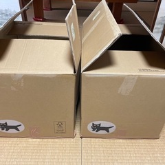 大きめの段ボール箱