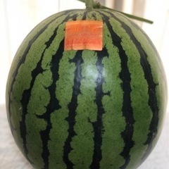 本日から３日間限定セール（＾ν＾）お買い得です！