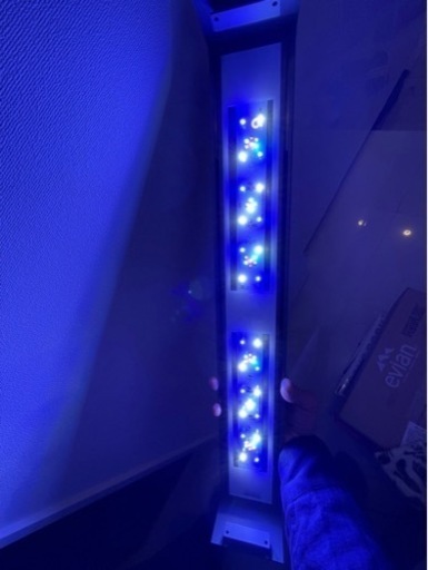 グラッシー ウイング 60 海水用 ボルクスジャポン　LED