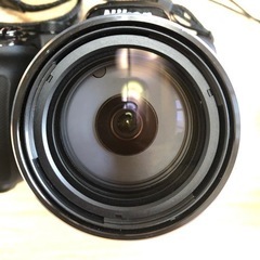 Nikon クールピクス　P610の画像