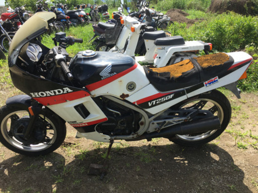 ホンダ　VT250FE   書類付レストアベース車