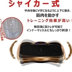 ダイエット振動マシーンの画像