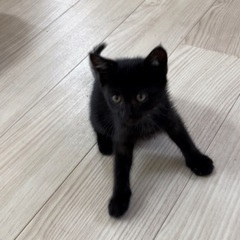 人馴れ抜群です(*･ᴗ･*)و