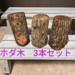 椎茸　ホダ木3本セット