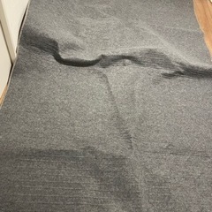 電気カーペットの画像