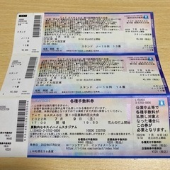 第10回真駒内花火大会　スタンドA席連番2枚