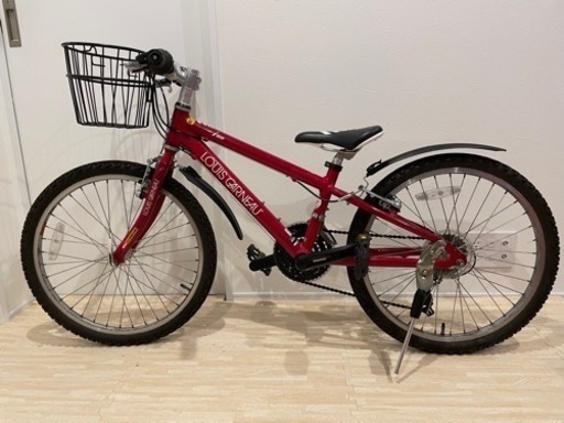 LOUIS GARNEAU   22インチ　カゴ、泥除け付き