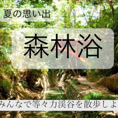 7/3 森林浴　等々力渓谷　写真　散歩　10:00〜