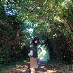 7/3 森林浴　等々力渓谷　写真　散歩　10:00〜 - 友達