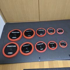 ファイティングロード　プレート10個セット　計52.5kg
