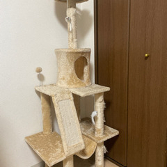 キャットタワー　猫1匹で使用してました。　18日までに取りに来られ方