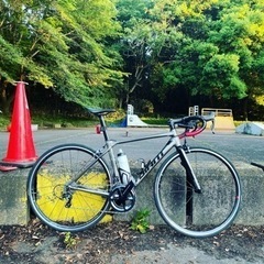 gian tcr slr1 2018年モデル