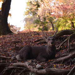 みんなで写真を撮りに行きましょう📸 − 愛知県