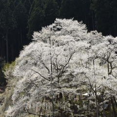 みんなで写真を撮りに行きましょう📸 - 友達