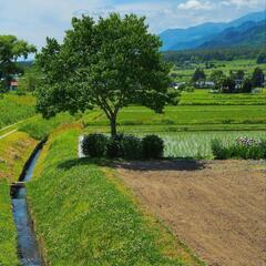 散歩、ウォーキング − 茨城県