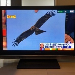 Panasonic VIERA  TH-37PX80 テレビ　