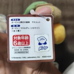 カビィの仲間の画像