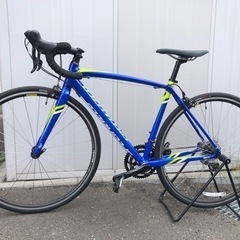 スペシャライズド　アレー　美品