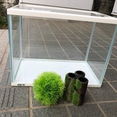 GEX30センチ水槽　