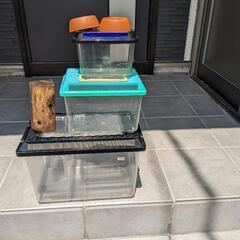 虫かご　飼育ケース　カブト　クワガタ