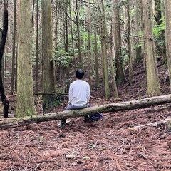 【成約済】山林物件092　大阪府 - 土地販売/土地売買