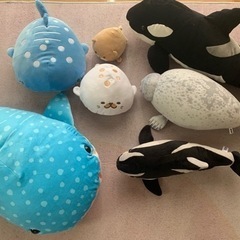 海遊館　ぬいぐるみ　